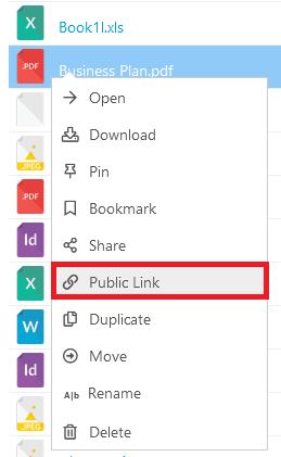 Sharing files or folders with Public Links